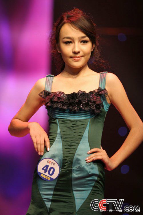 ڰ˽CCTVģشŮģ4012(ͼ+Ƶ)