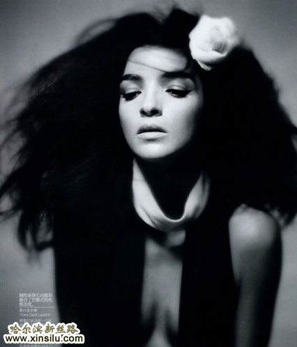 ģ½й桶VOGUE