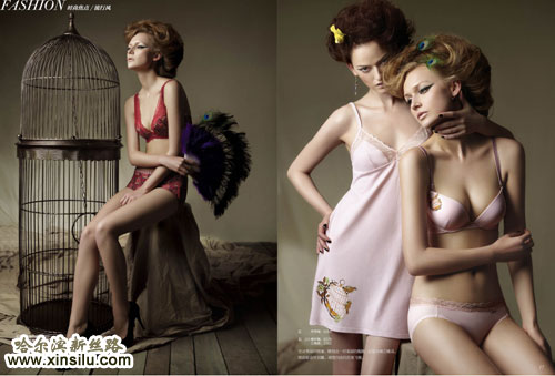 ��������