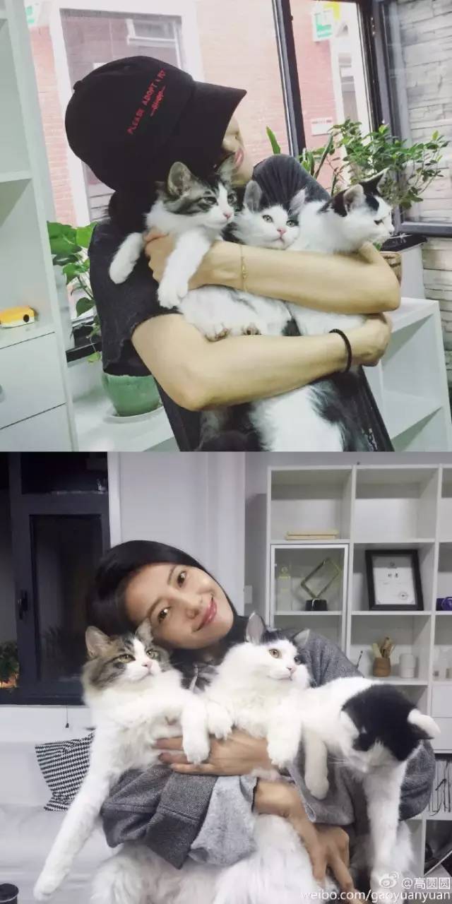 ŮԲԲ