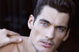 David Gandyר